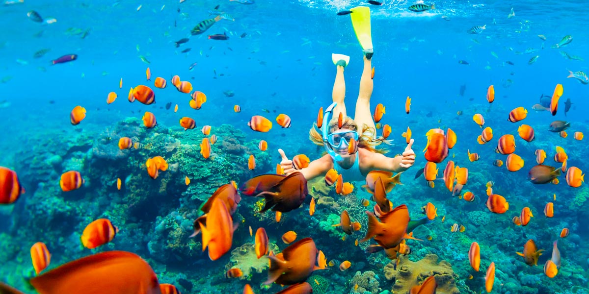 Private Snorkeling in Hurghada - Egypt Tours Portal (NZ)