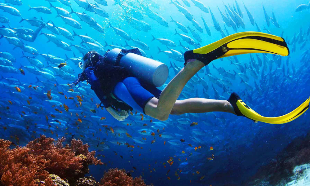 Hurghada Diving Sites & Centers 2023 - Egypt Tours Portal