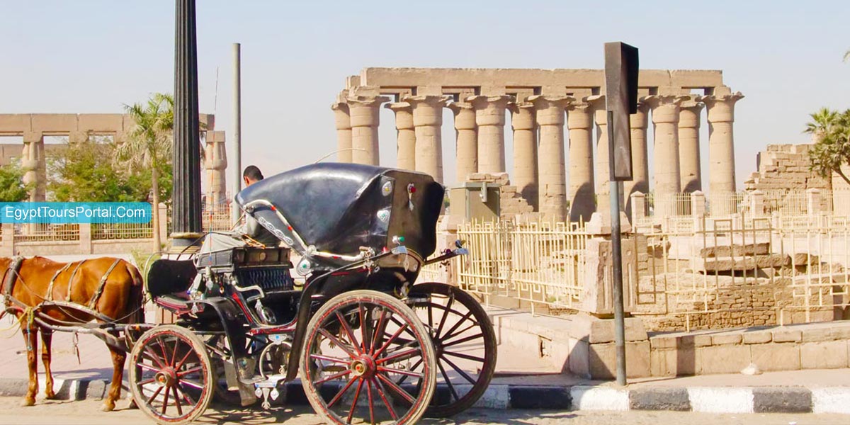 Luxor Horse Carriage Trip - Egypt Tours Portal