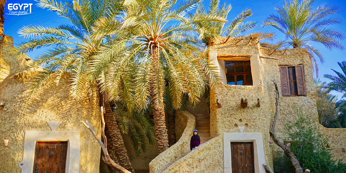 Siwa Oasis Siwa Oasis Location Siwa Oasis Wildlife Siwa Oasis History