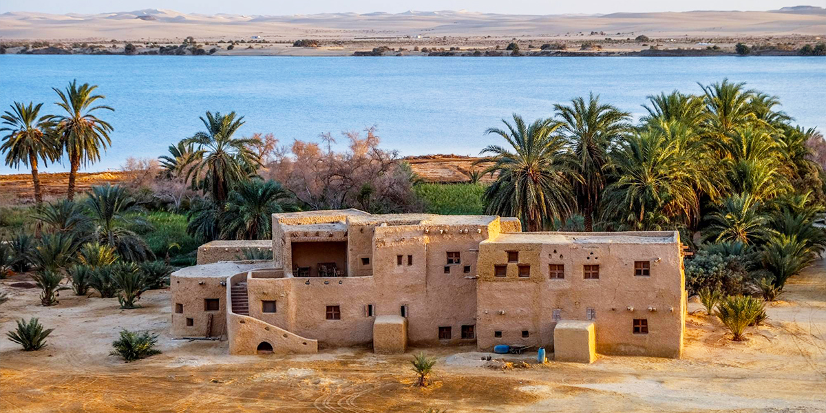 Siwa Oasis - Siwa Oasis Location - Siwa Oasis Wildlife - Siwa Oasis History