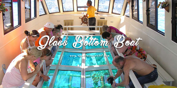 Glass Bottom Boat - Things to Do in El Gouna - Egypt Tours Portal