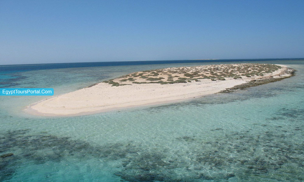 Marsa Alam Rocky Island - Things to Do in Marsa Alam - Egypt Tours Portal
