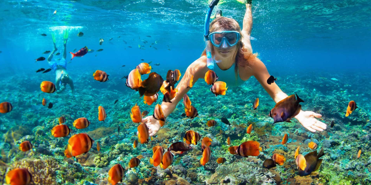 Snorkeling Trip in Makadi - 10 Best Places for Water Sports in Egypt for a refreshing Vacation - Egypt Tours Portal