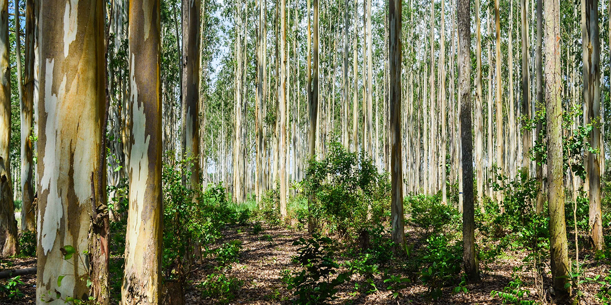 Egypt Deserts Deserve To Discover For Adventure Travelers