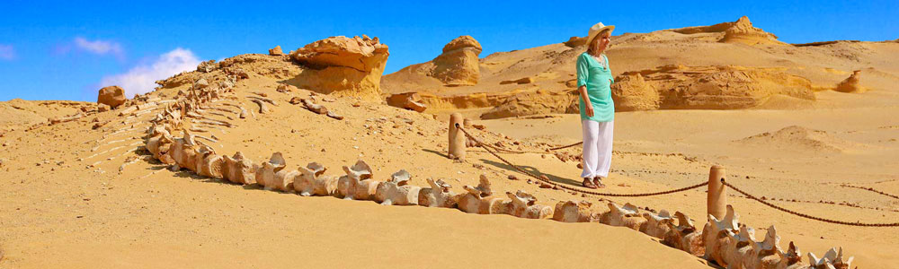Wadi El Hitan Itinerary - Egypt Tours Portal