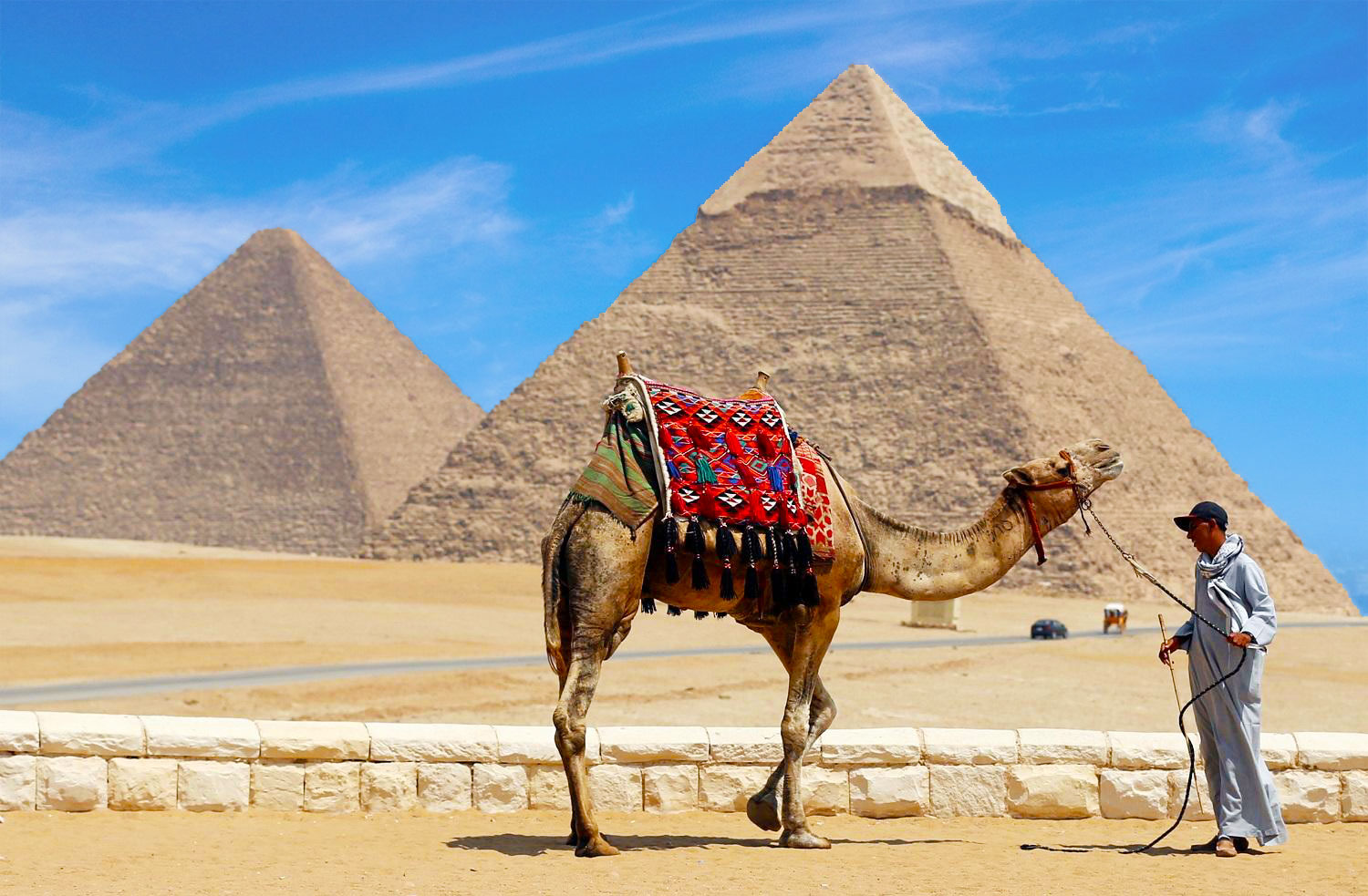 The Company Egyptian Tourism Authority License Egypt Tours Portal