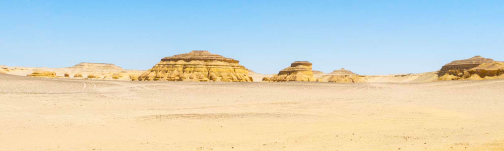 Wadi El Hitan & Desert Safari Tour From Cairo - Egypt Tours Portal