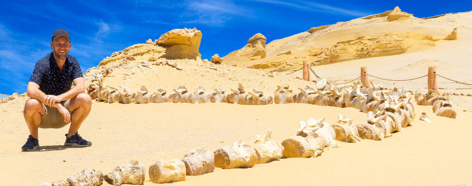 Wadi El Hitan & Desert Safari Tour From Cairo - Egypt Tours Portal