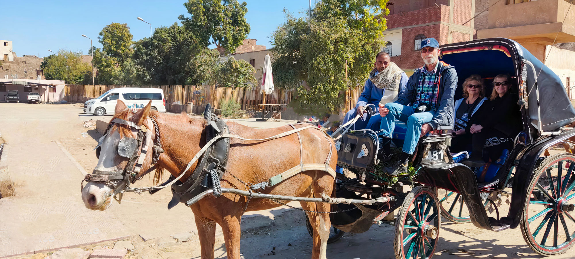 Aswan Horse Carriage Trip - Egypt Tours Portal