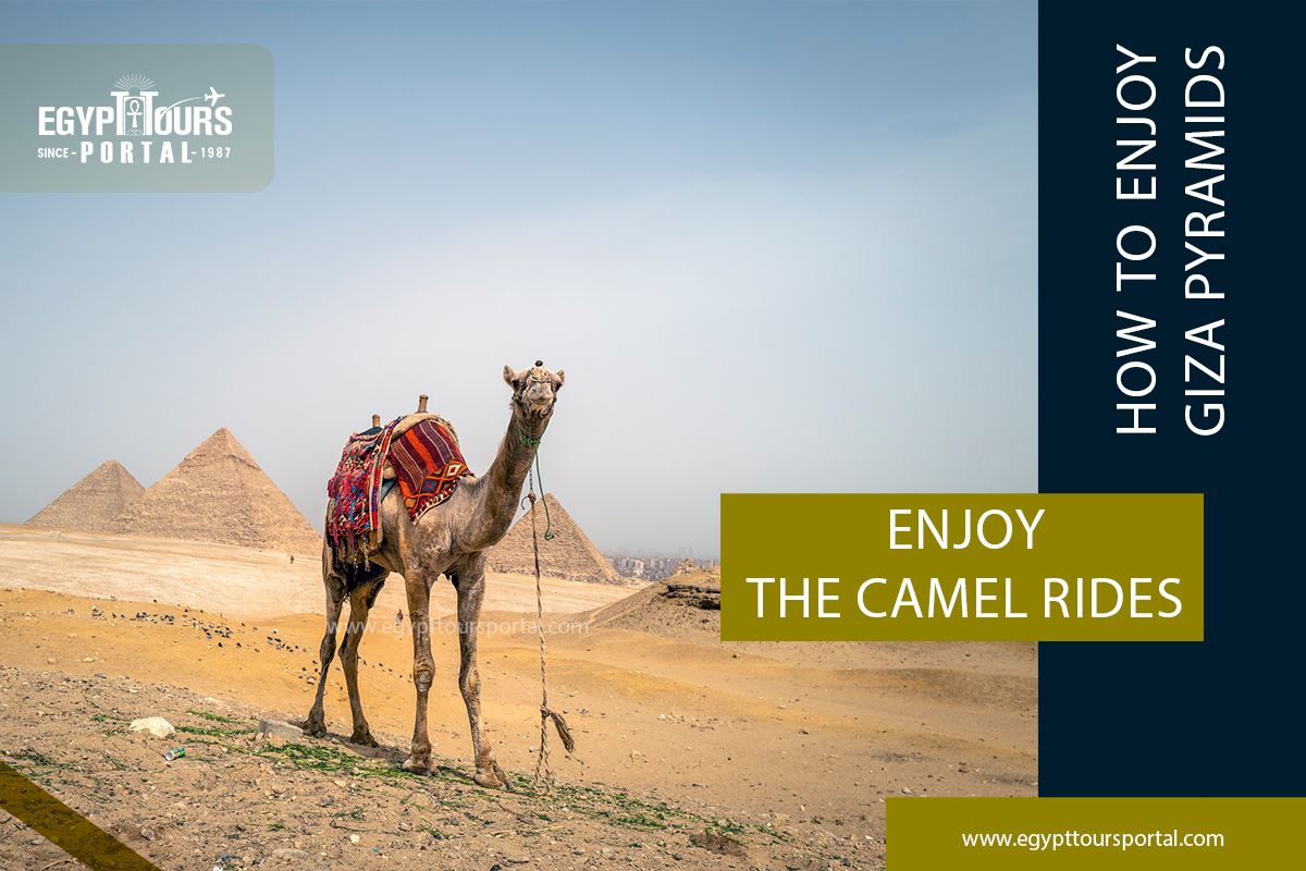 How to Enjoy Egypt Giza Pyramids Complex