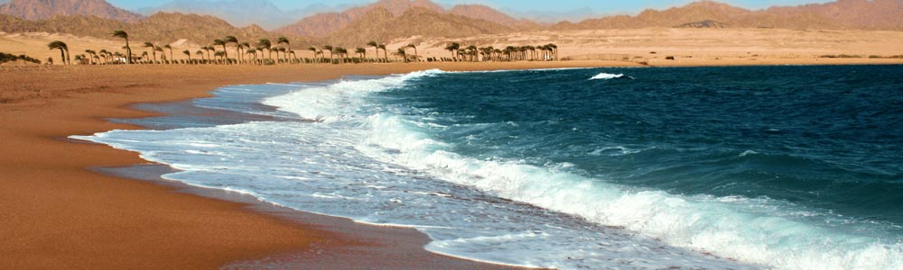 Nabq Bay Itinerary - Egypt Tours Portal
