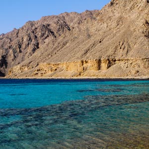 Ras Abu Gallum Attraction - Egypt Tours Portal