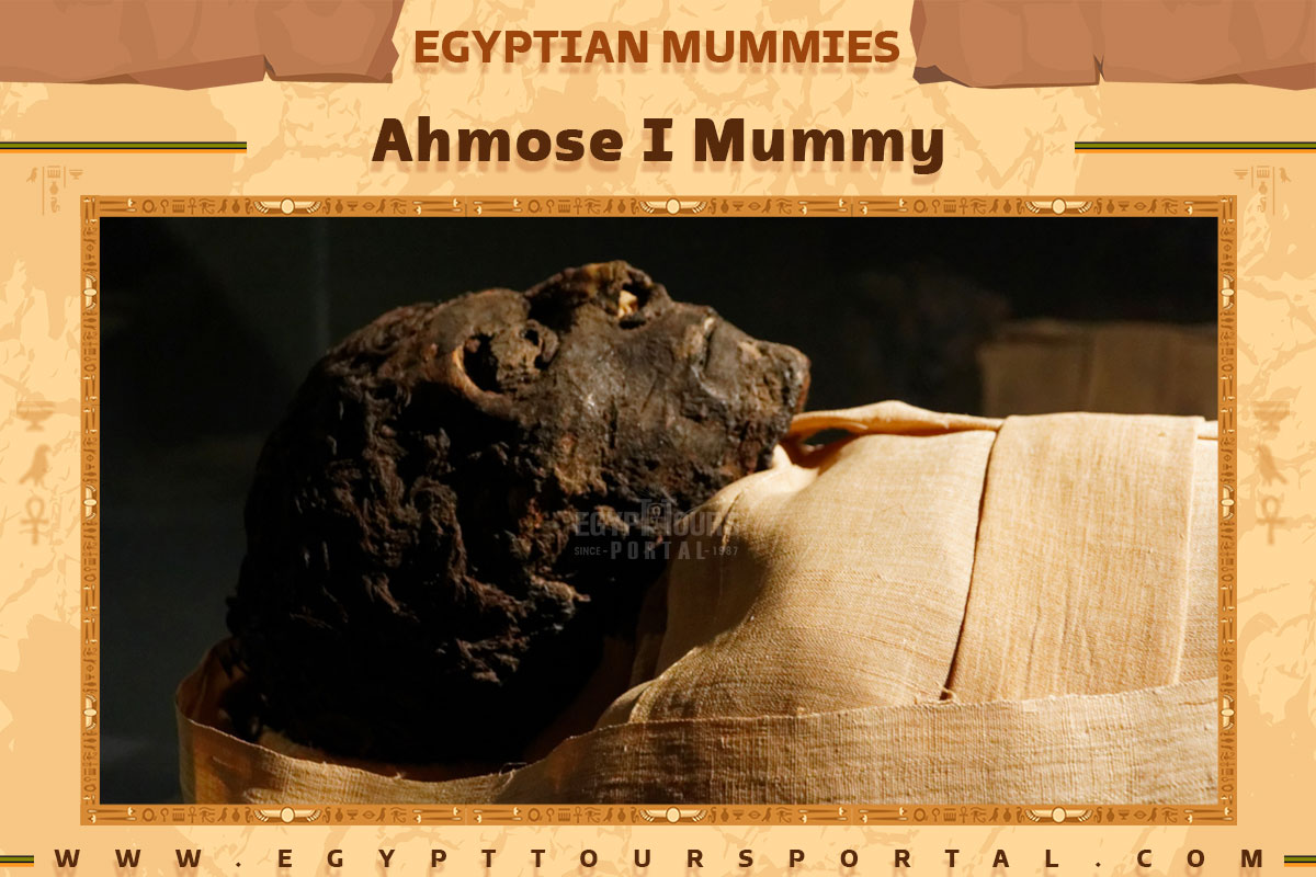 Journey to ancient Egypt in Return of the Cat Mummy