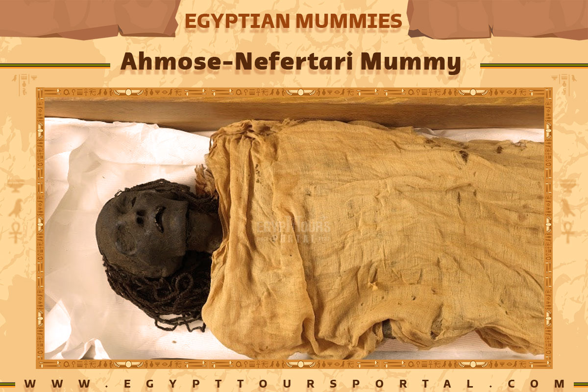 Ahmose Nefertari Mummy - Egypt Tours Portal