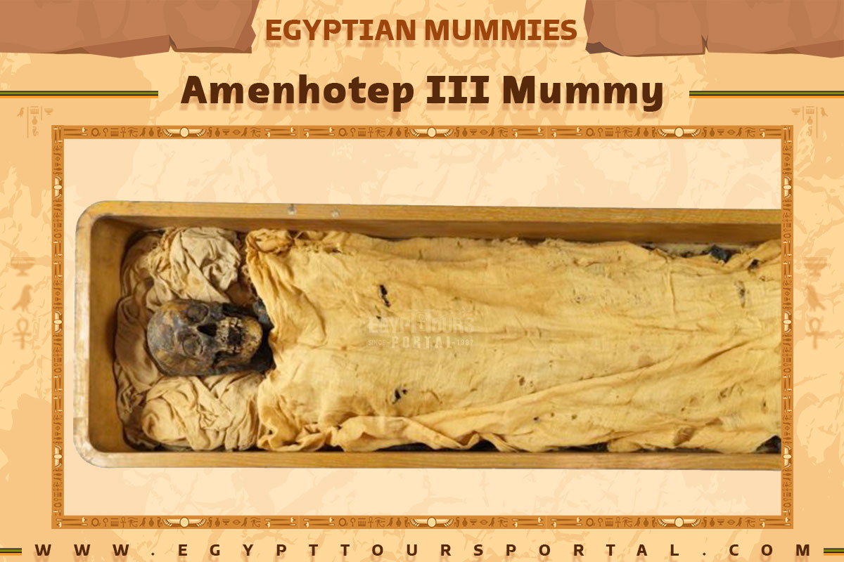 Amenhotep III Mummy - Egypt Tours Portal