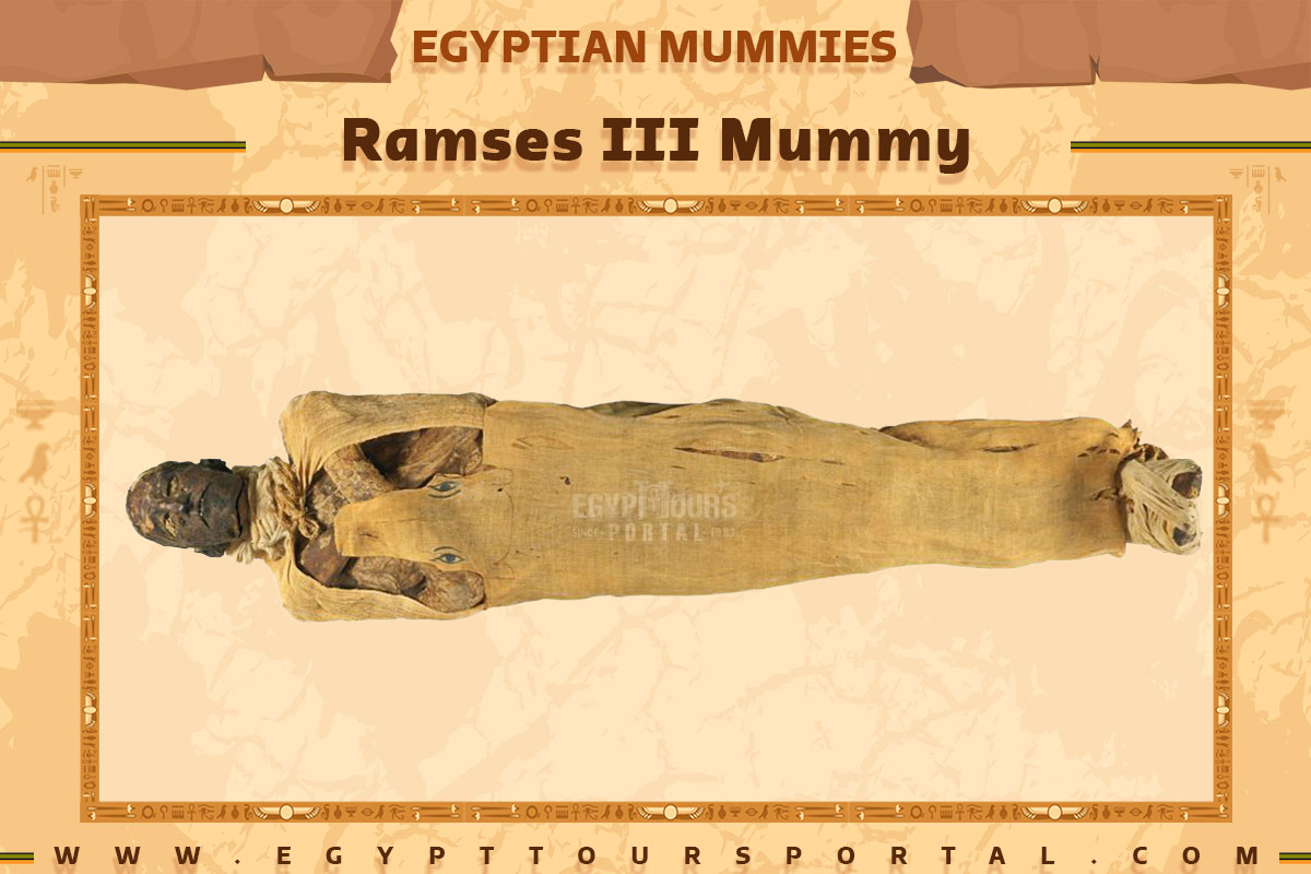 Ramses III Mummy - Egypt Tours Portal