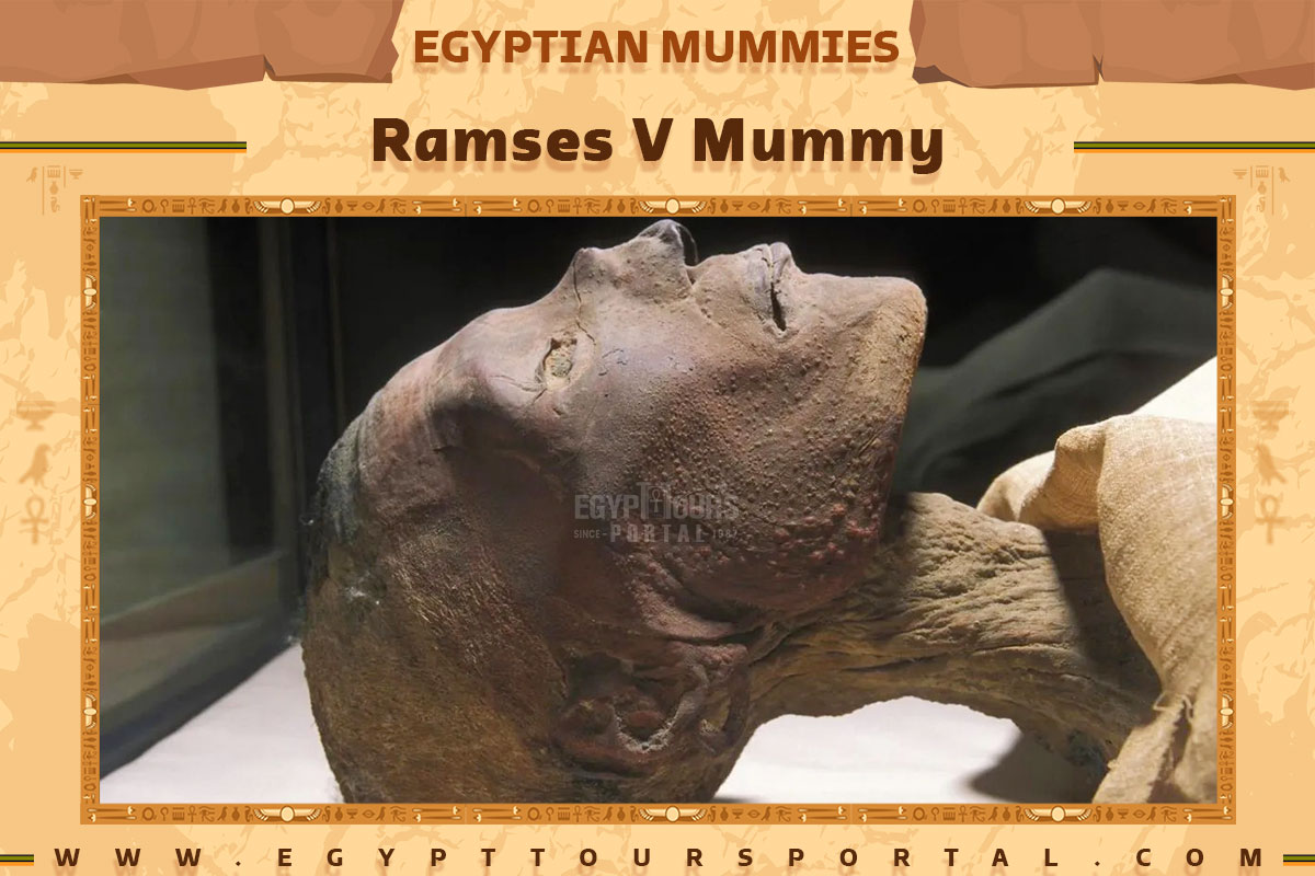 Ramses V Mummy - Egypt Tours Portal