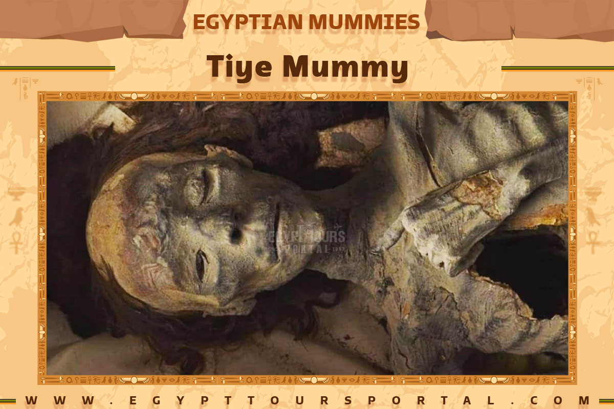 Tiye Mummy - Egypt Tours Portal