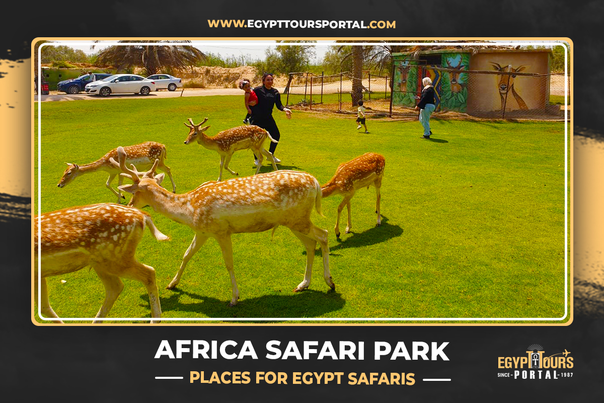 Africa Safari Park - Places for Egypt Safaris - Egypt Tours Portal