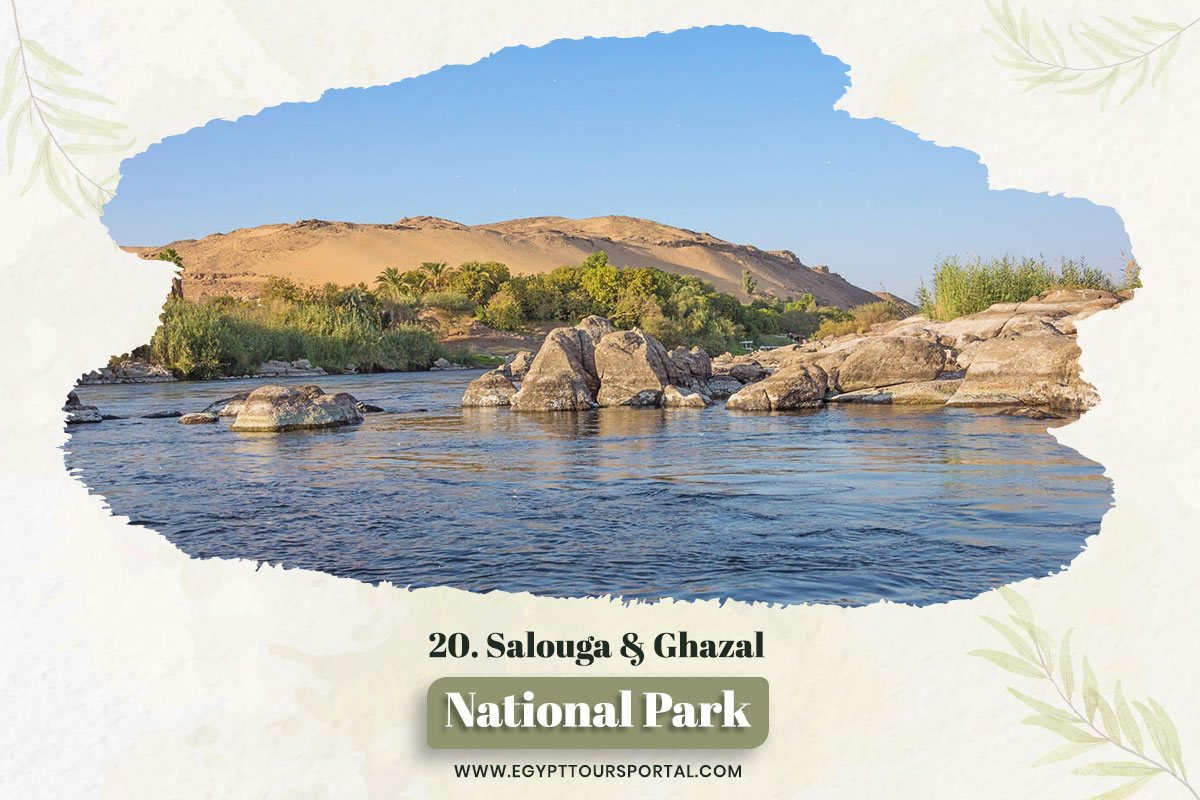 Salouga and Ghazal - National Parks In Egypt - Egypt Tours Portal