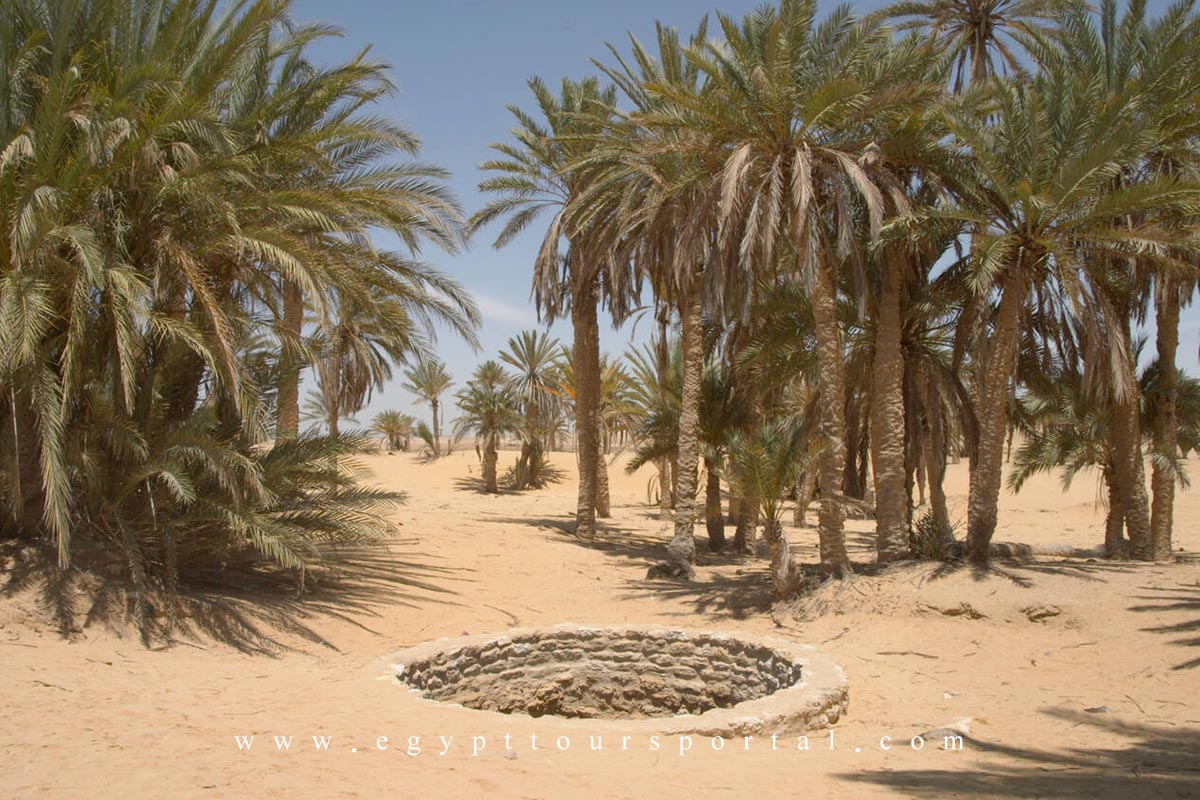 Climate in Moses Springs - Egypt Tours Portal