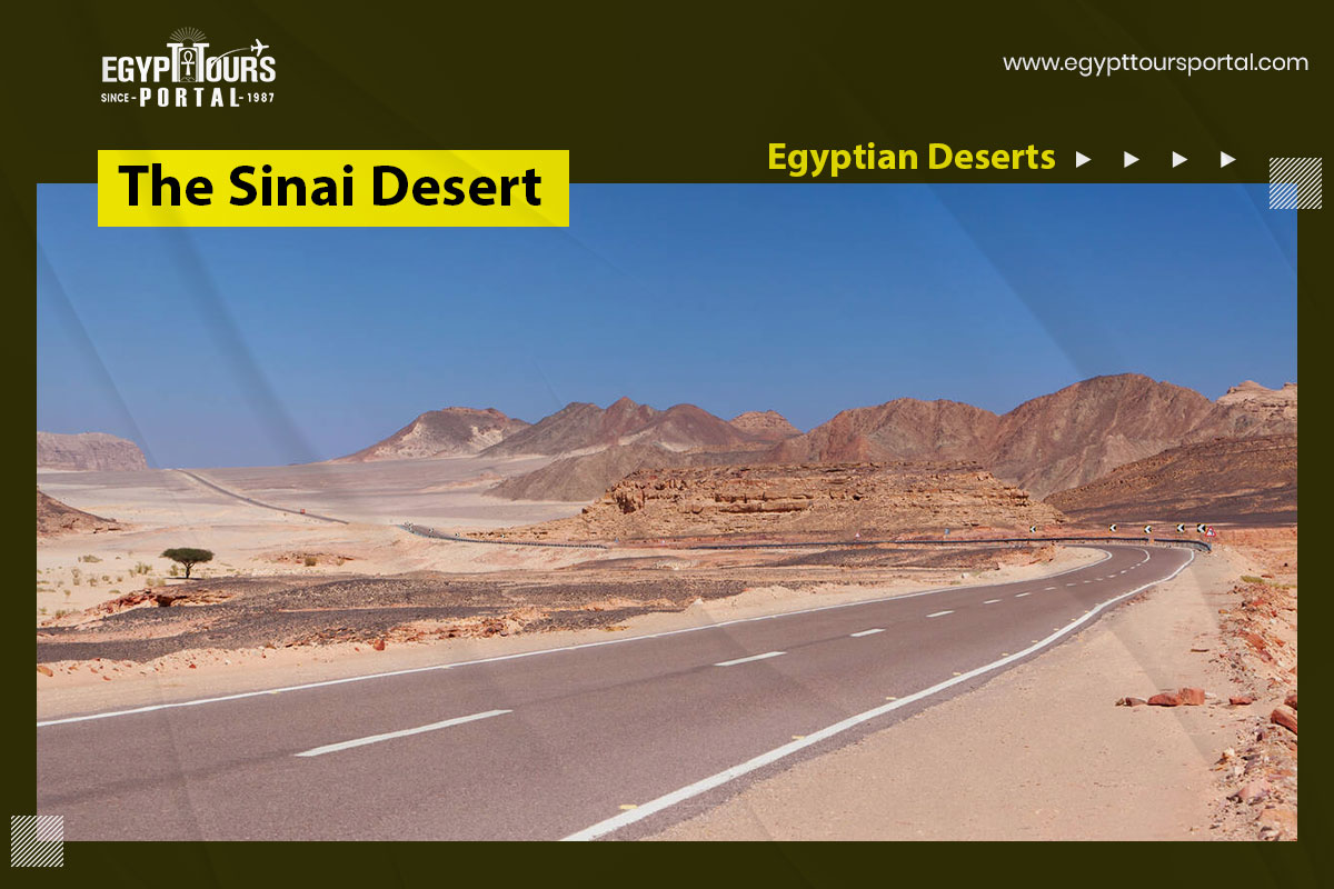 The Sinai Desert - Famous Egyptian Deserts - Egypt Tours Portal