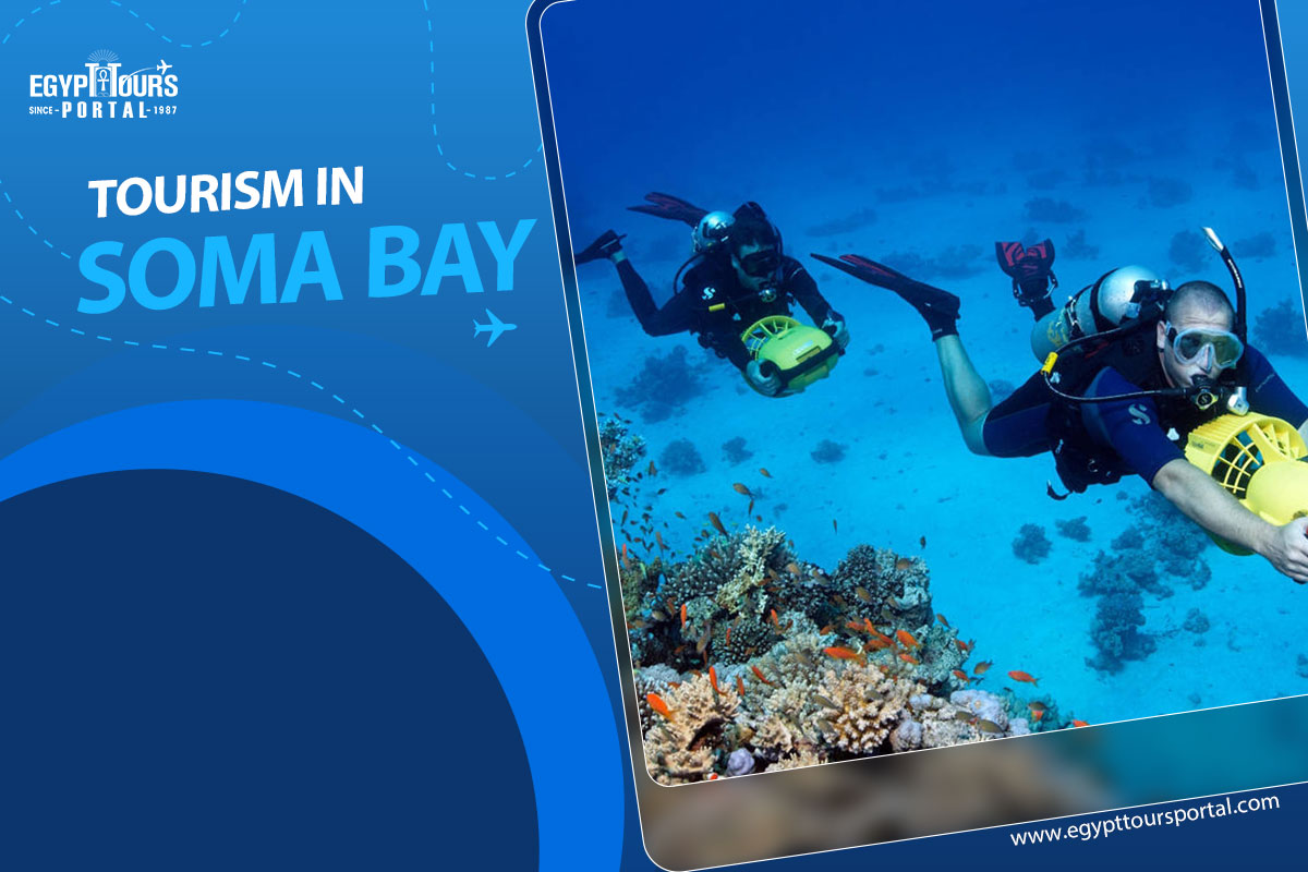 Tourism in Soma Bay - Egypt Tours Portal