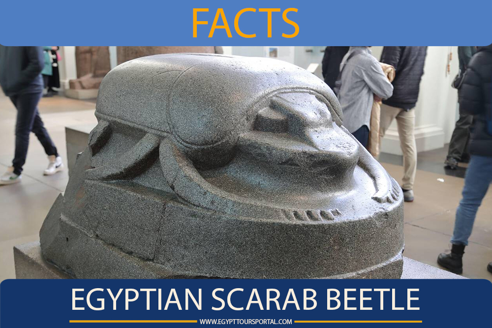 Ancient Colossal Egyptian Scarab Beetle at the British Museum, London, UK - Egypt Tours Portal