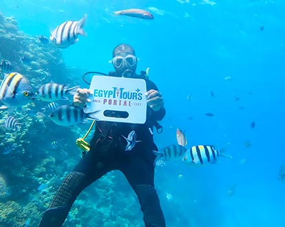 Marsa Alam Excursions & Day Tours - Egypt Tours Portal
