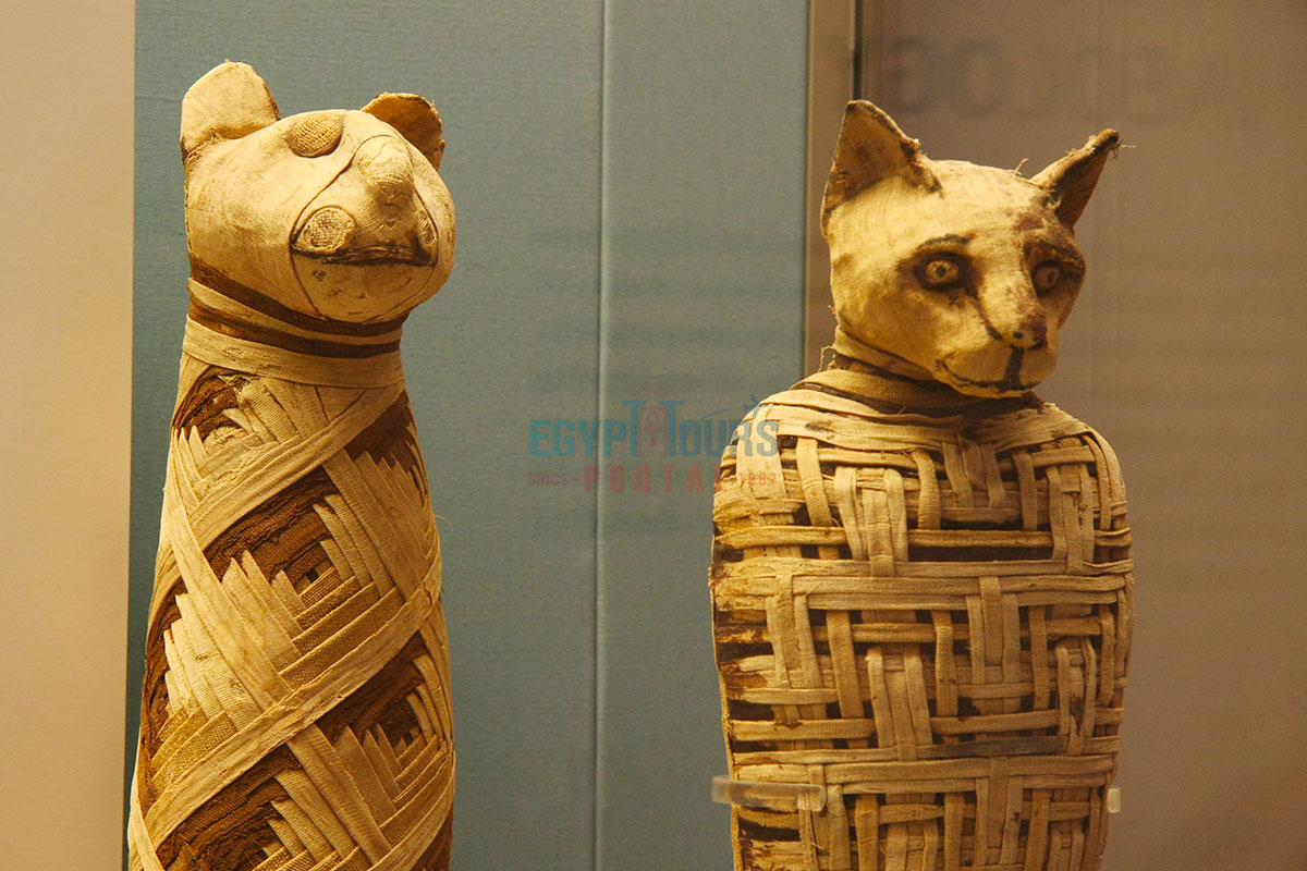 Ancient Egyptian Pets - Egypt Tours Portal
