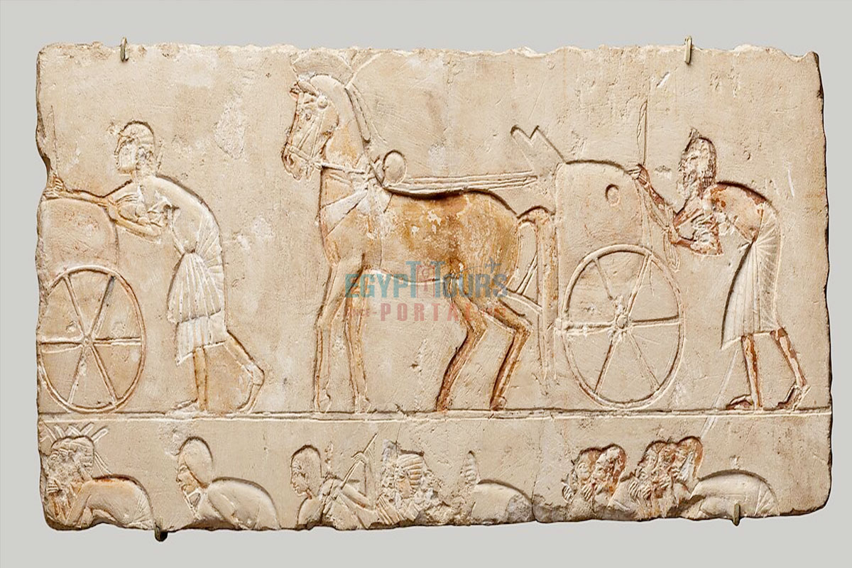 Ancient Egyptian Horses - Egypt Tours Portal