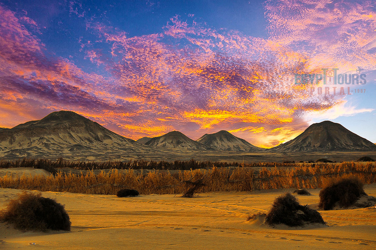 Bahariya Oasis - Egypt Tours Portal