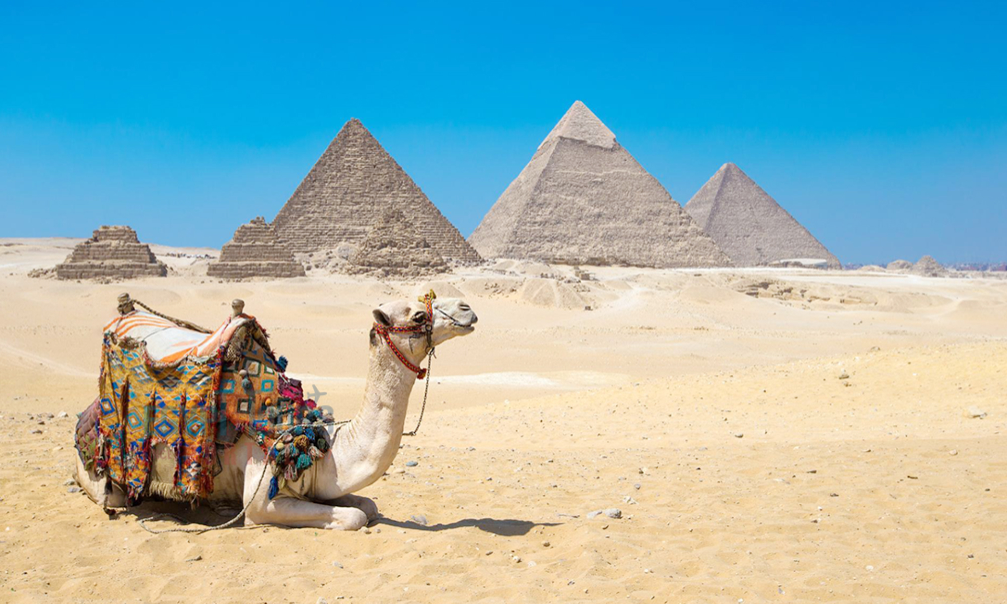 دليلك النهائي للسفر إلى مصر : كل ما تحتاجه قبل الحجز! - الأنشطة والترفيه