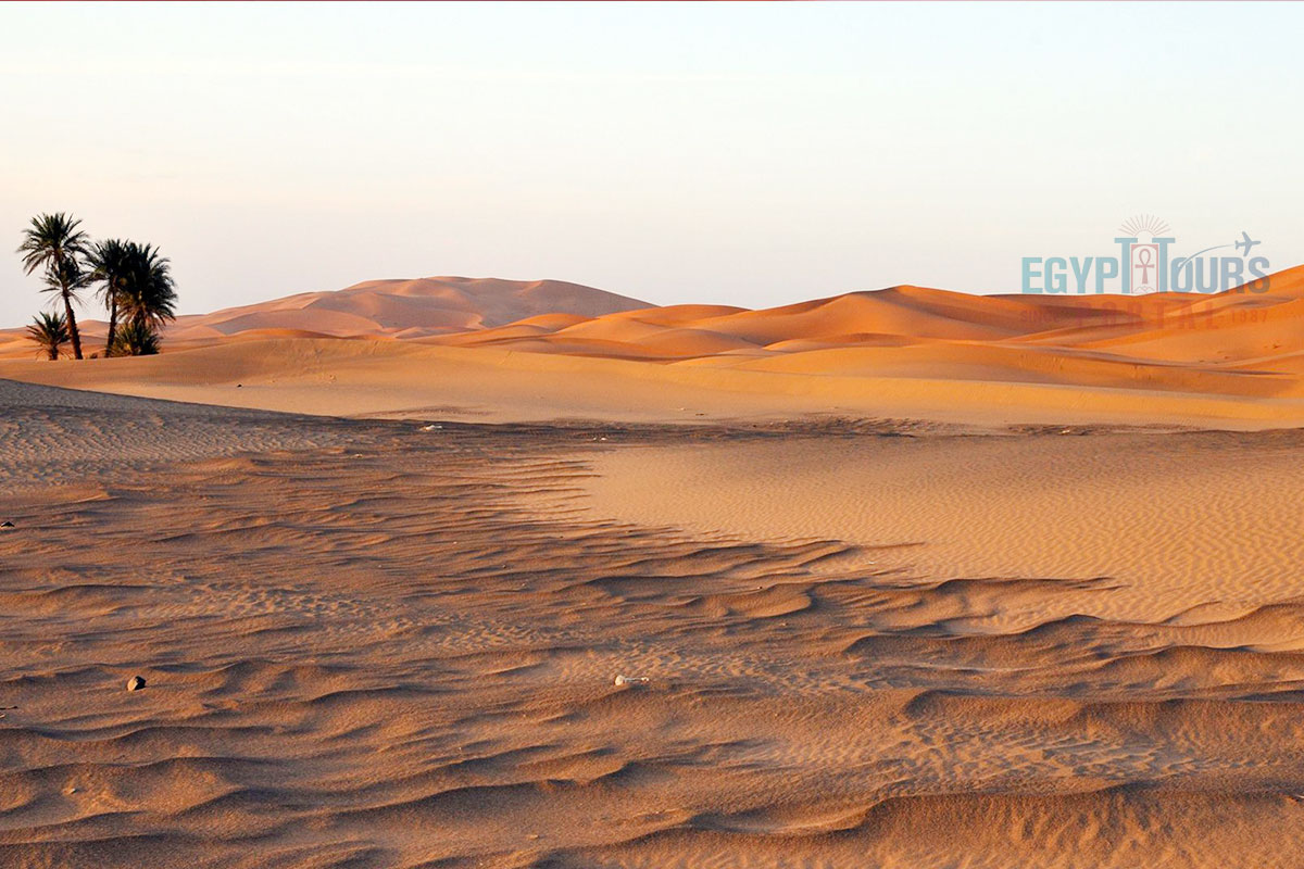 The Great Sahara - Egypt Tours Portal