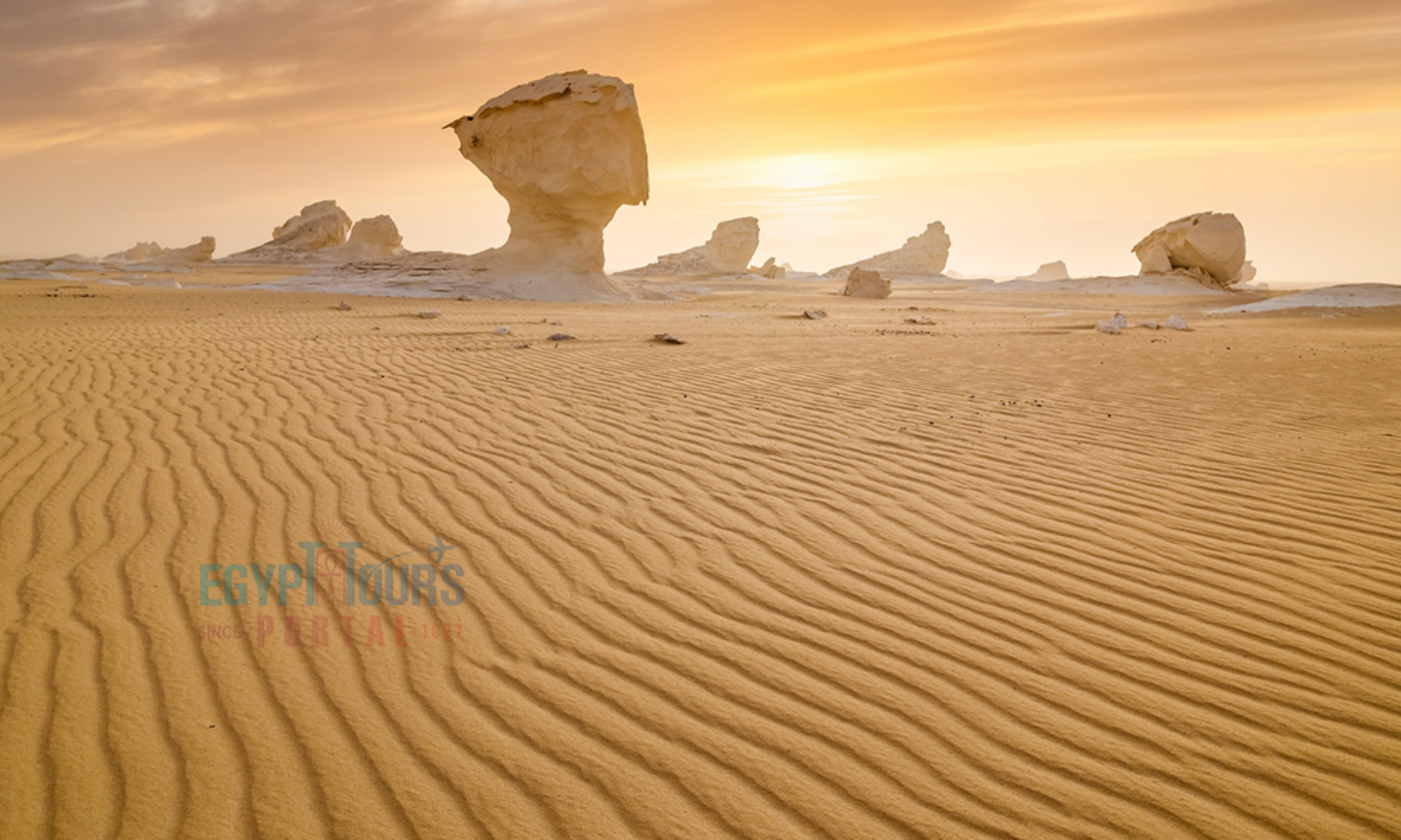 The Western Desert - Egypt Tours Portal