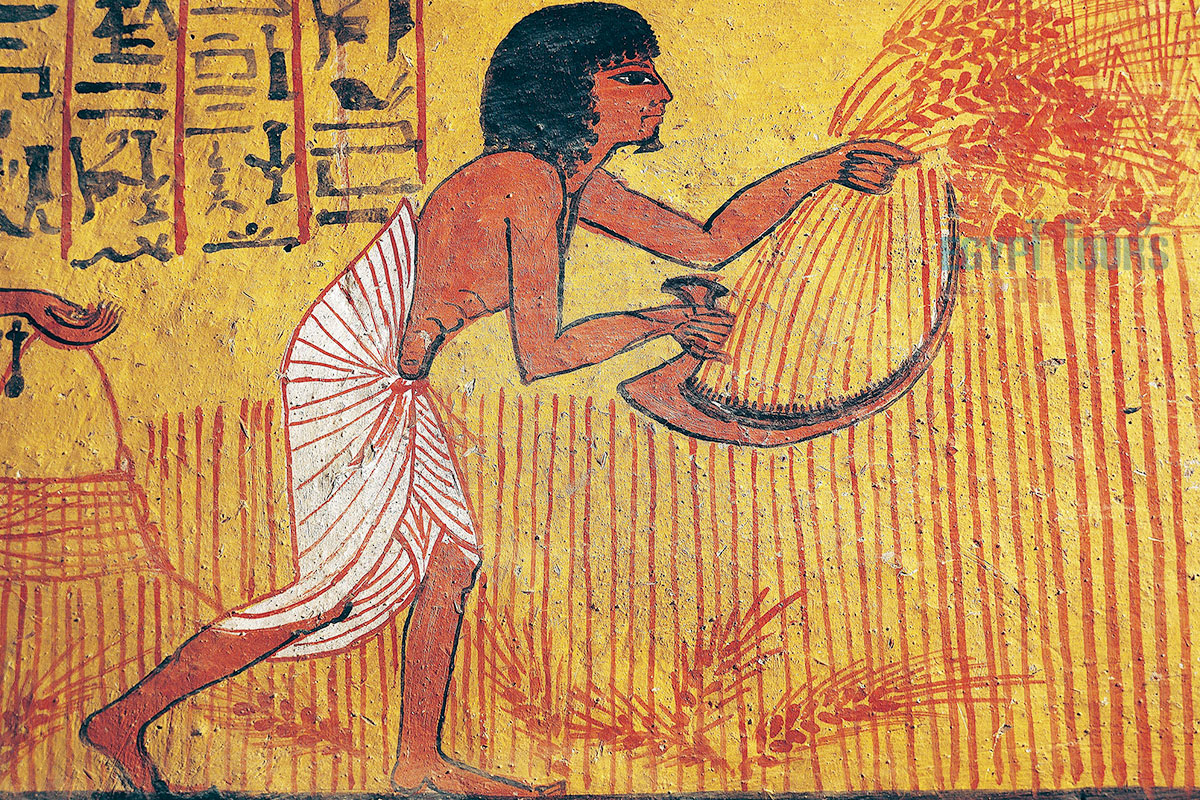 Ancient Egyptian Agriculture - Egypt Tours Portal