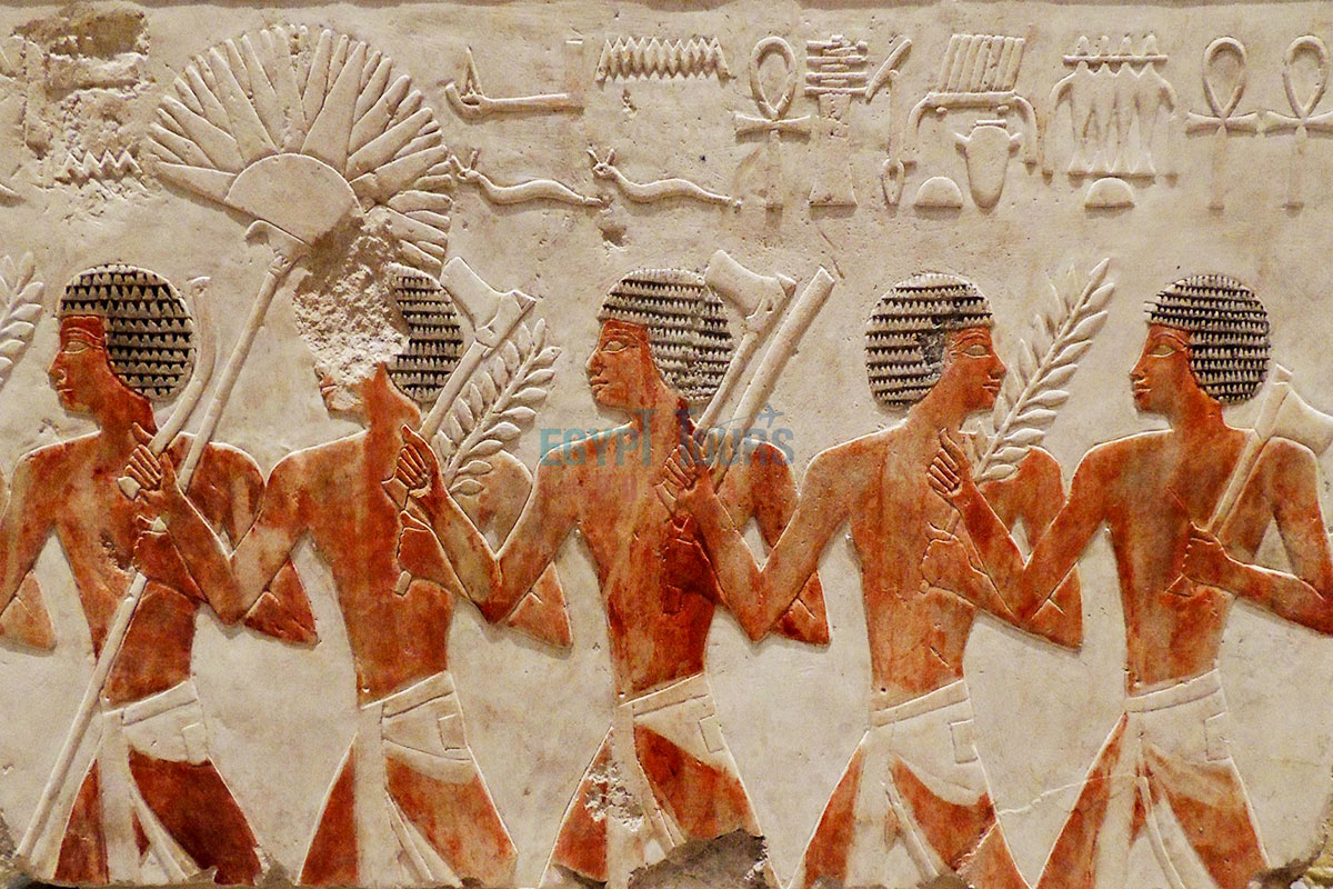Ancient Egyptian Race DNA - Egypt Tours Portal