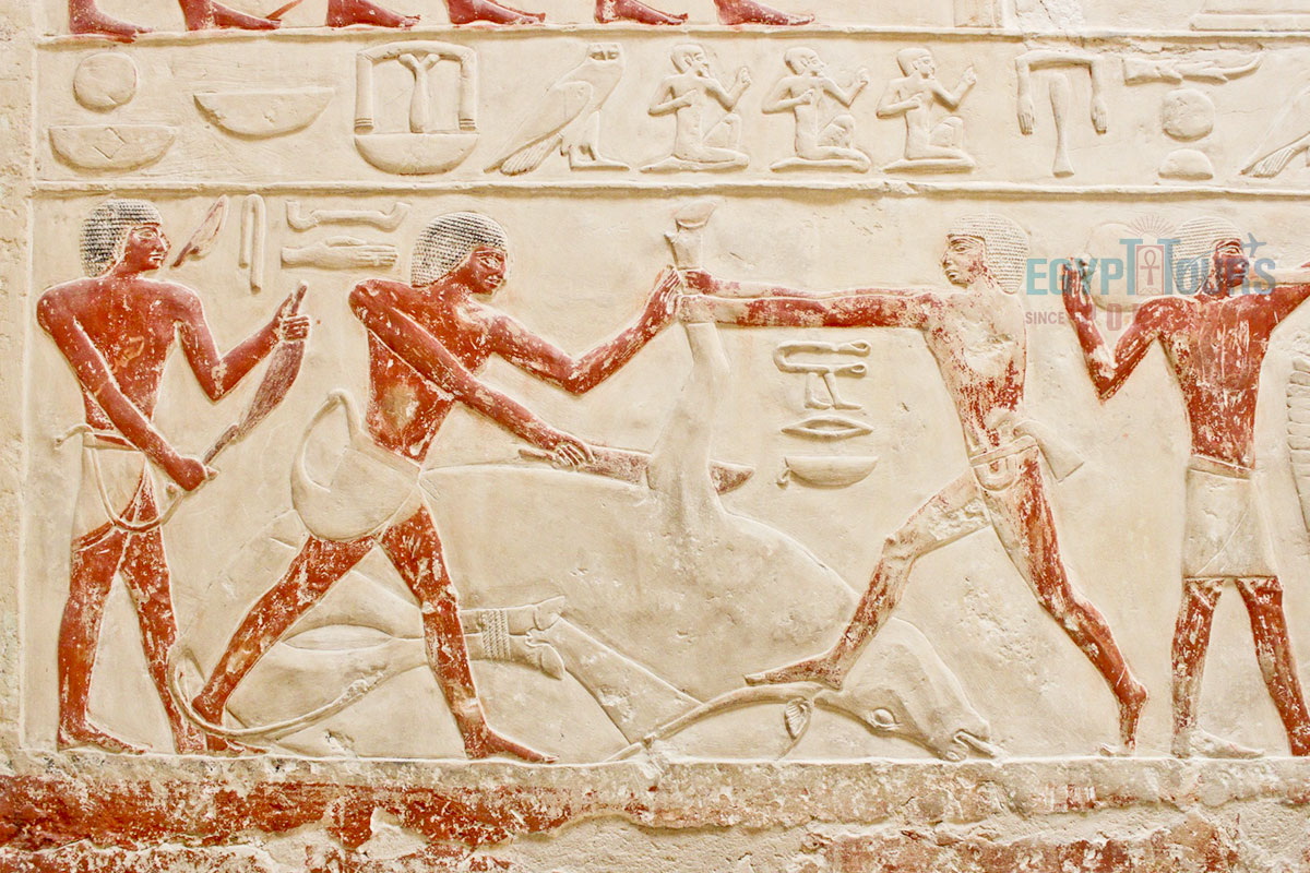Ancient Egyptian Sports - Egypt Tours Portal