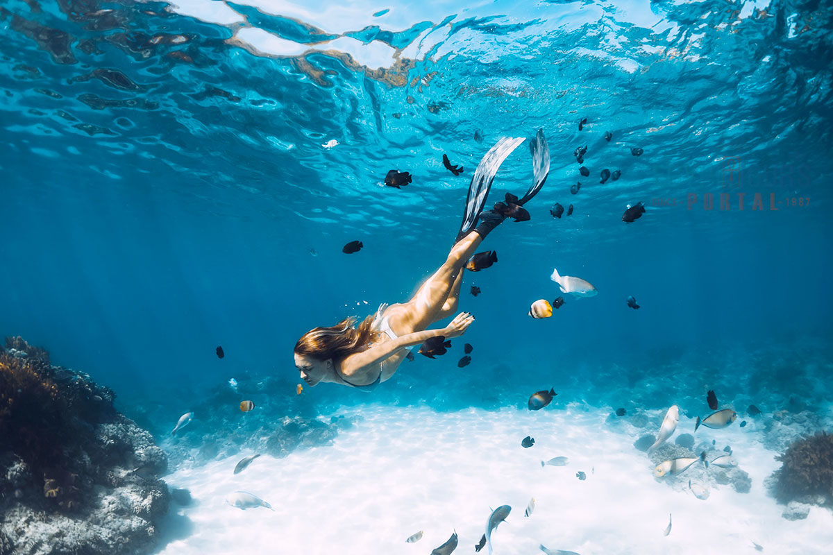 Diving Trips in Safaga - Egypt Tours Portal