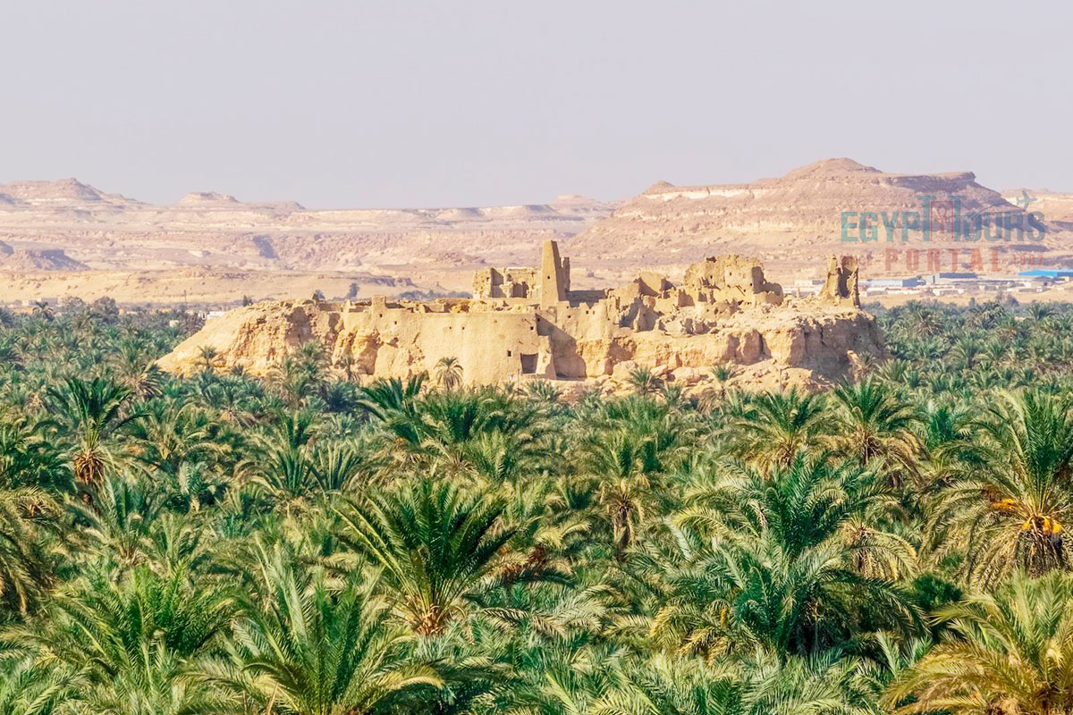 Landmarks in Siwa Oasis - Egypt Tours Portal