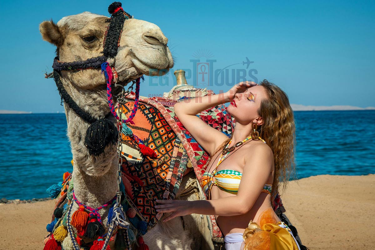Thisngs to Do in Egypt - Egypt Tours Portal