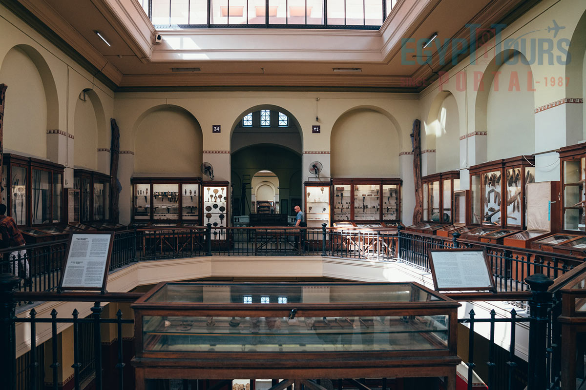 Library of the Egyptian Museum - Egypt Tours Portal
