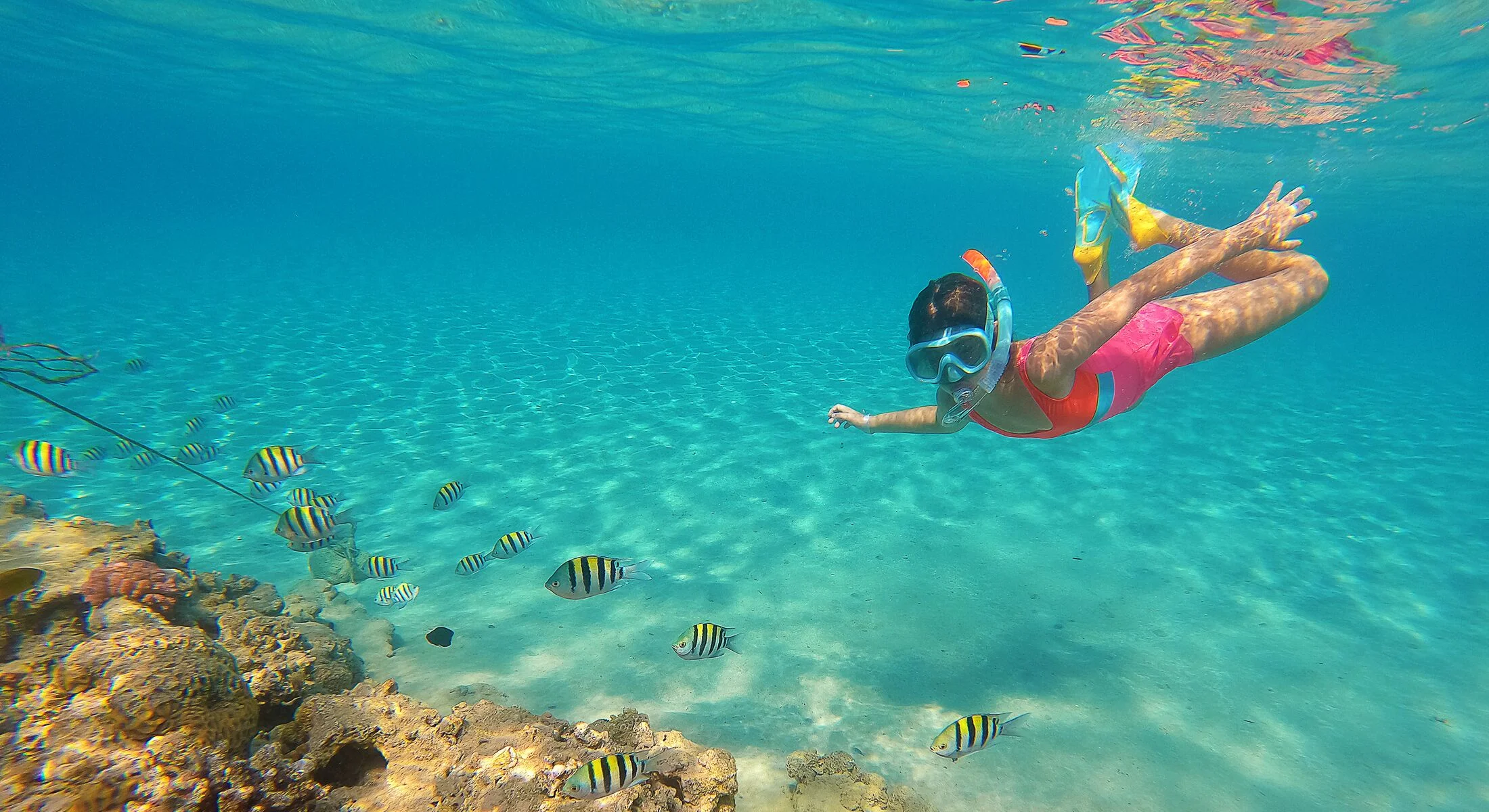 6 Days Cairo and Hurghada Package