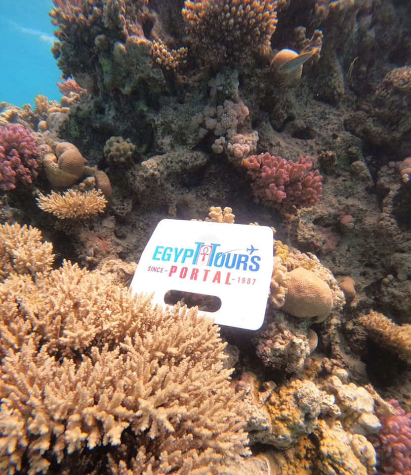 Marsa Alam Excursions