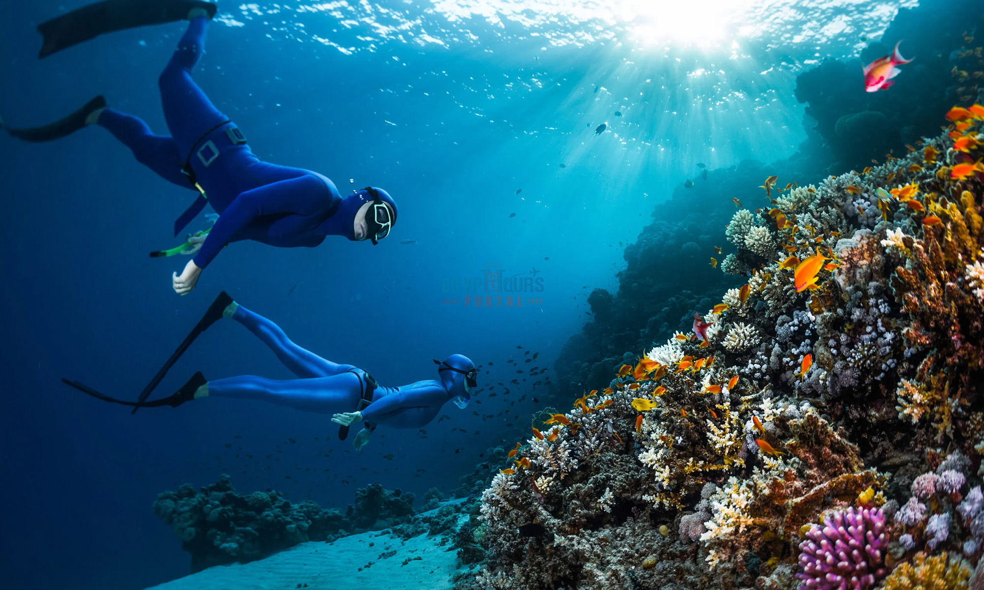 6 Days Cairo and Hurghada Package