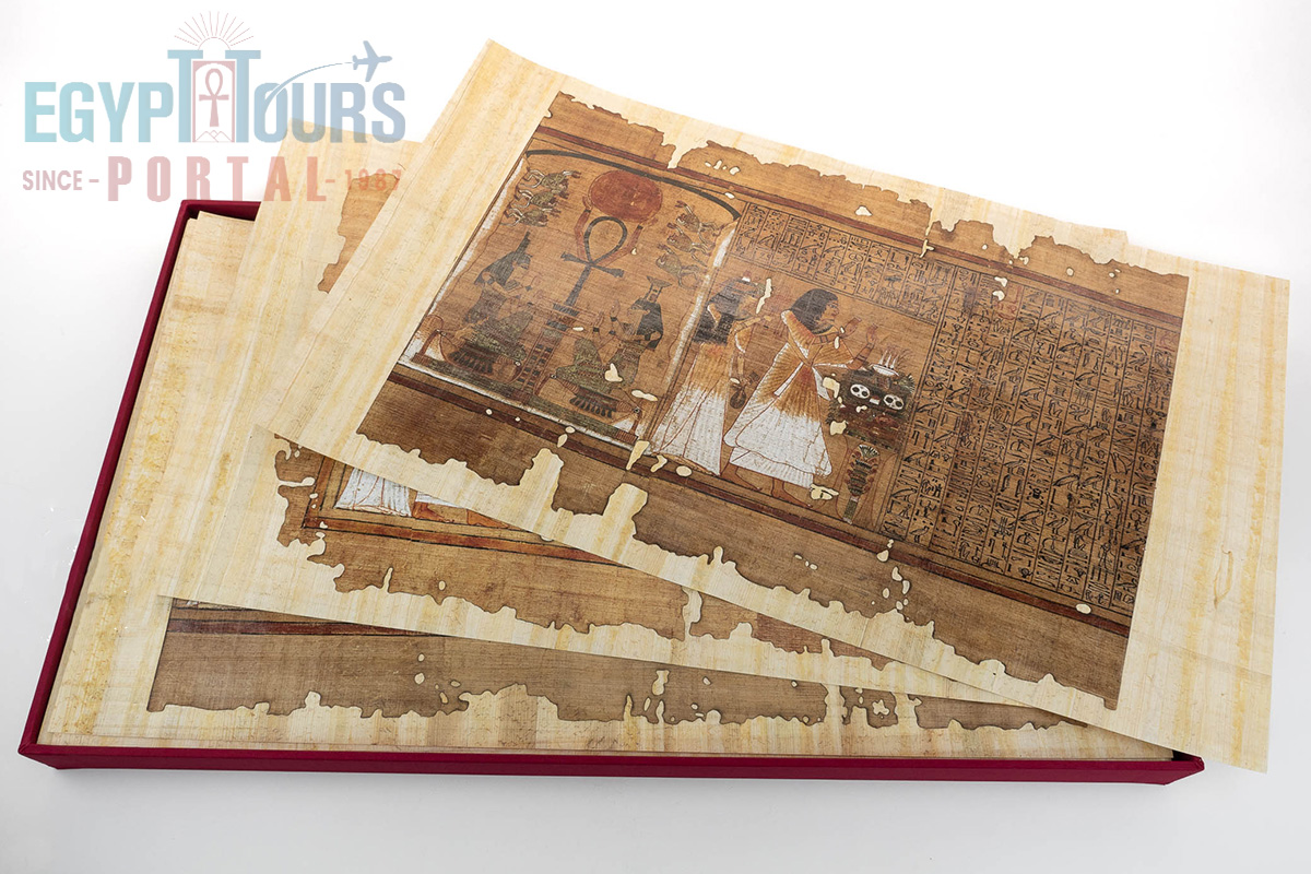 Papyrus - Egypt Tours Portal.jpg