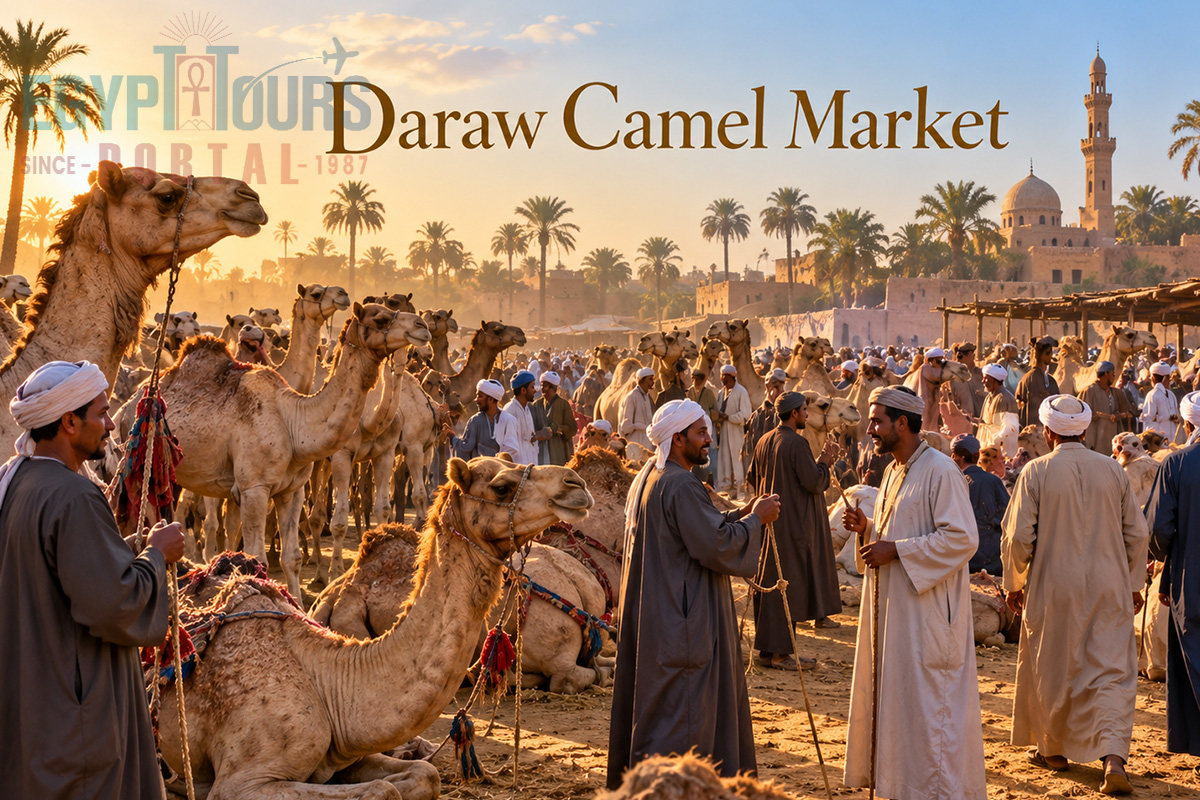 Daraw Camel Market - Egypt Tours Portal.jpg